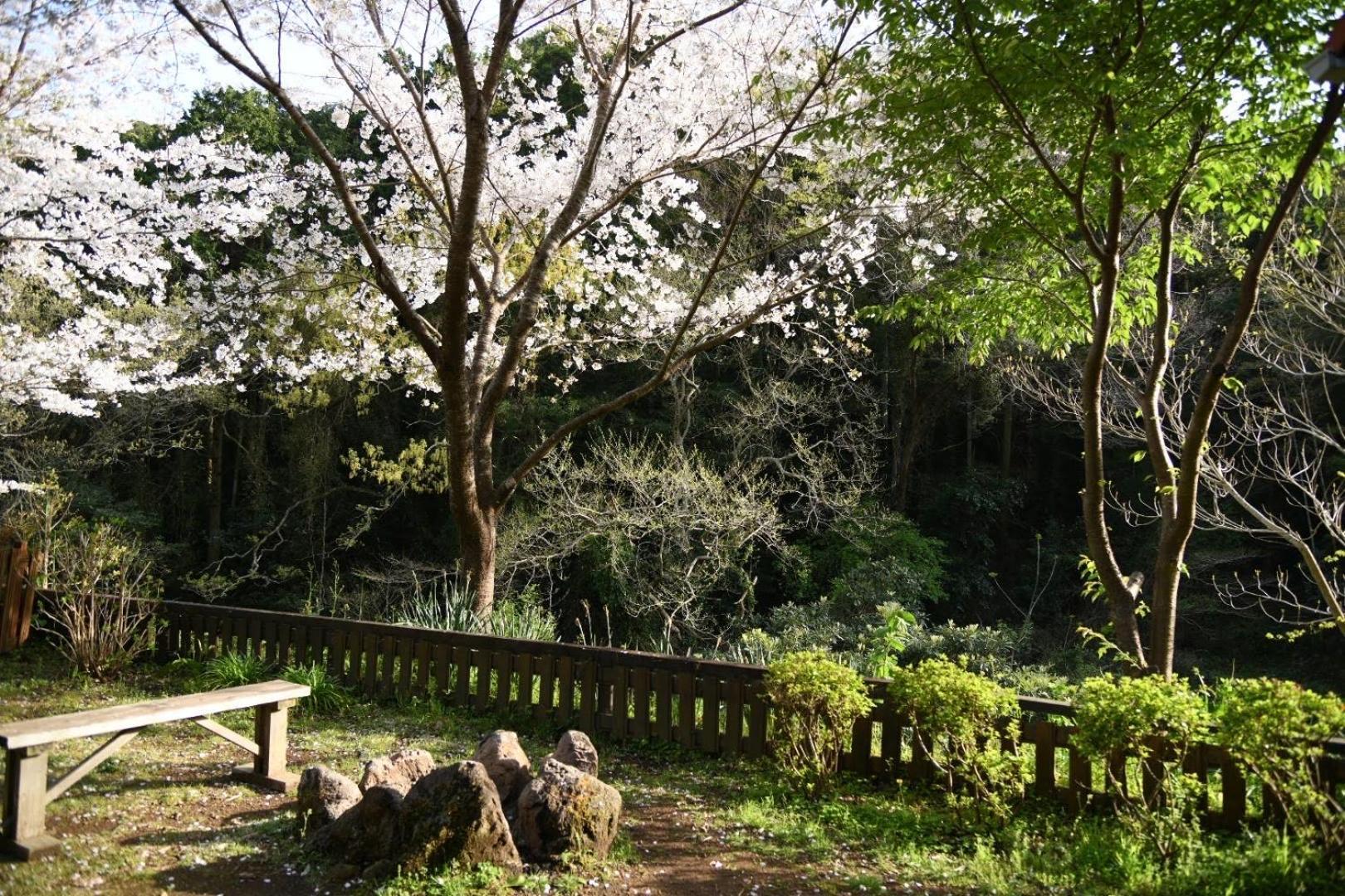 Sunny Side Cottage ชิโมดะ ภายนอก รูปภาพ