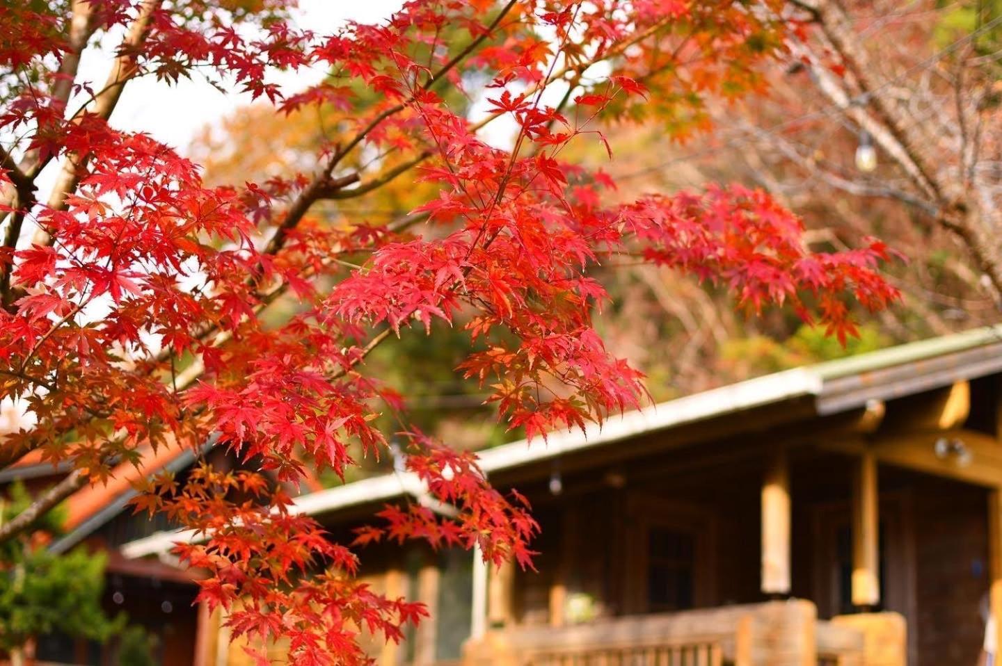 Sunny Side Cottage ชิโมดะ ภายนอก รูปภาพ